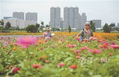 鄞州拆后地块改造成公园或停车场