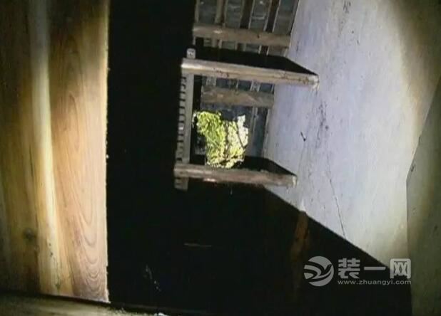 百年风水树倒塌砸中屋顶 广州梅州大叔家现场凌乱