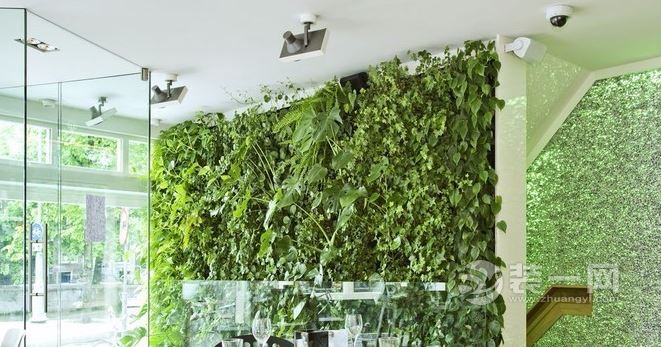 如何装修设计室内植物墙