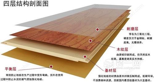 浸渍纸层压木质地板结构剖面图