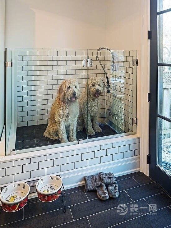 宠物淋浴房 宠物淋浴间 狗狗浴室设计图片