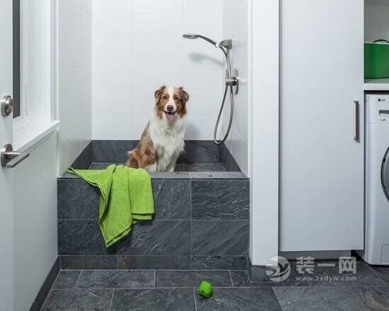宠物淋浴房 宠物淋浴间 狗狗浴室设计图片