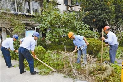 宁波小区整改