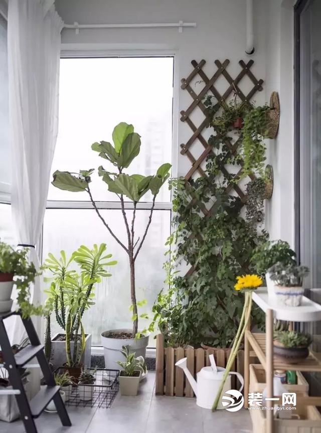 阳台植物上墙设计案例