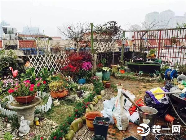 为了完成梦想 温州一女子将楼顶装修出精美花园