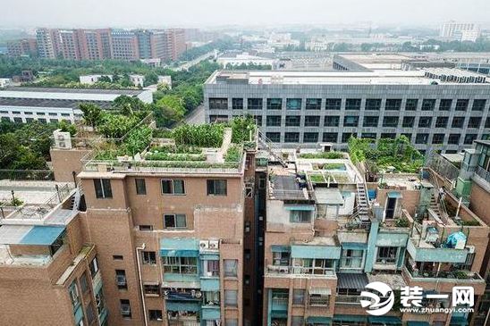 成都一小区楼顶违章建筑众多 导致楼体下沉