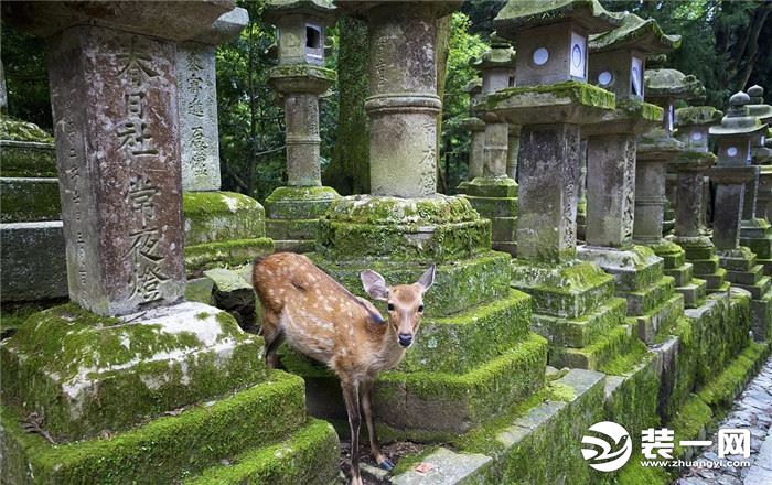 成都朗润装饰日本奈良探寻传统日式风格特点