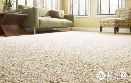地毯清洁效果图