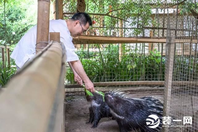 成都野生动物临时救护基地图片