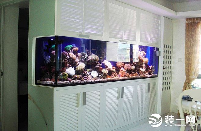 壁挂式鱼缸客厅安装位置效果图