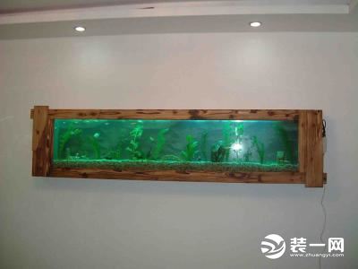 挂壁式鱼缸图片