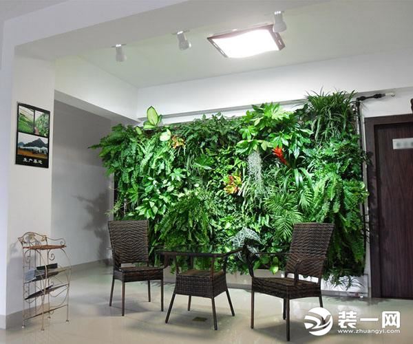 室内绿色植物墙