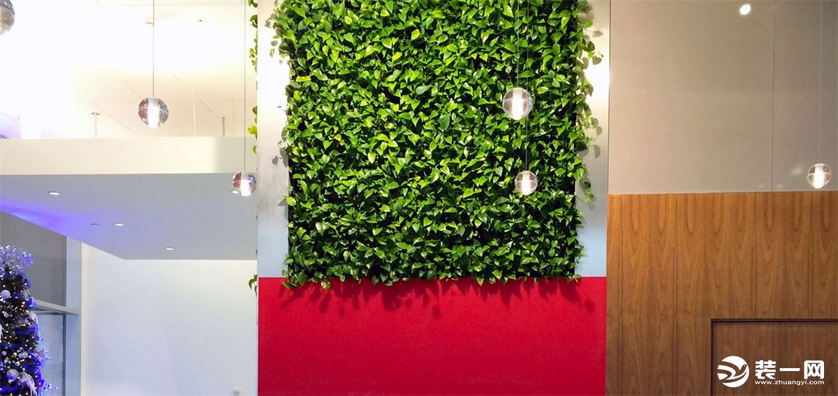 室内绿色植物墙