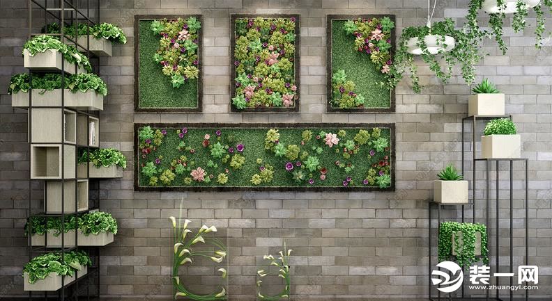 室内植物墙做法之模块化家庭植物墙图