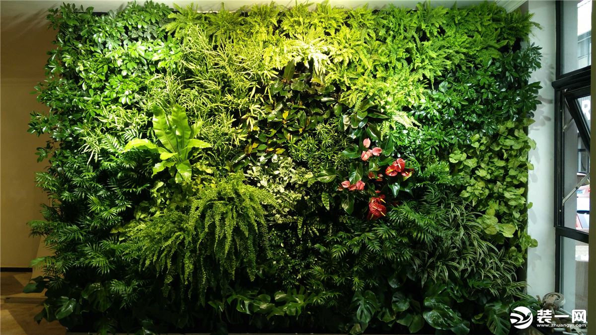 室内植物墙图片三 