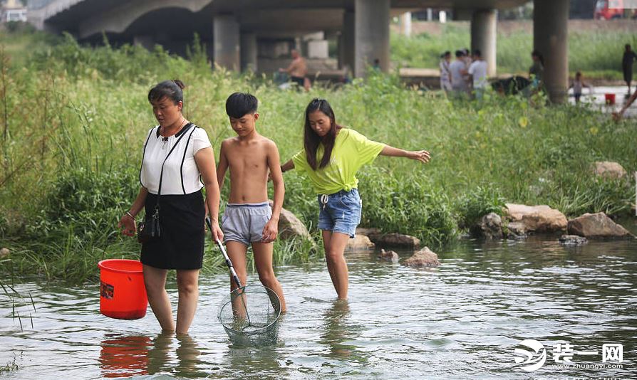 青岛河流水位暴涨 市民纷纷下水抓鱼 场照