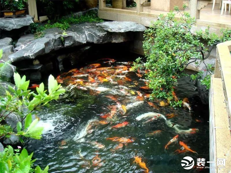 庭院鱼池景观设计庭院鱼池设计效果图庭院鱼池图片