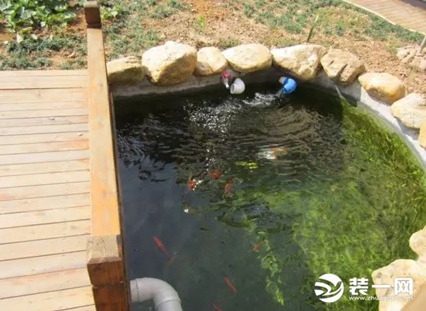 庭院鱼池景观设计庭院鱼池设计效果图庭院鱼池图片大全