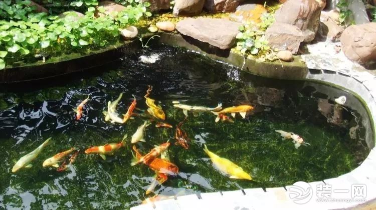 庭院鱼池景观设计庭院鱼池设计效果图庭院鱼池图片作品
