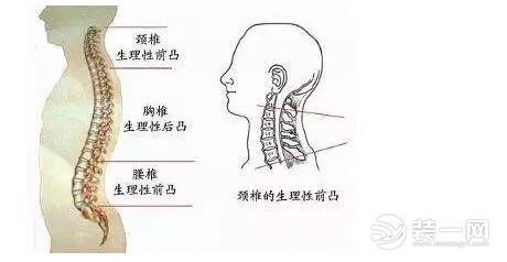 枕头错误用法危害图