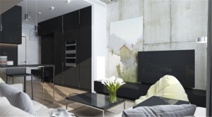 30平极简风格一居室客厅装修效果图