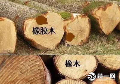 橡木和橡胶木区别