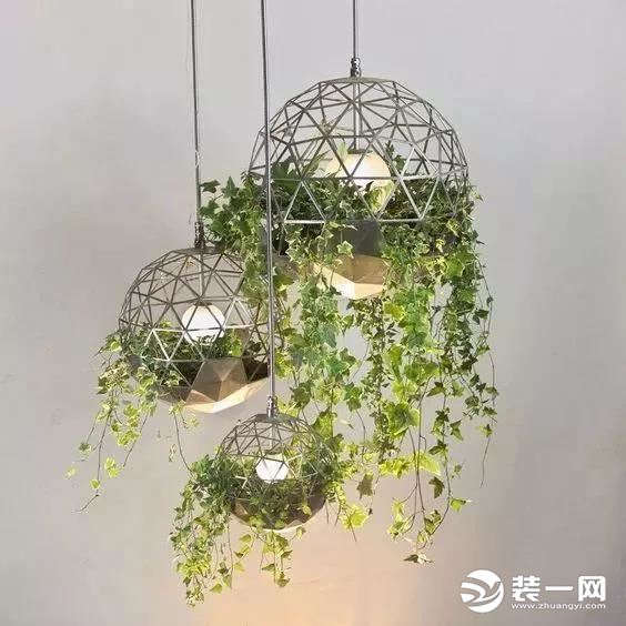 绿植装饰效果图