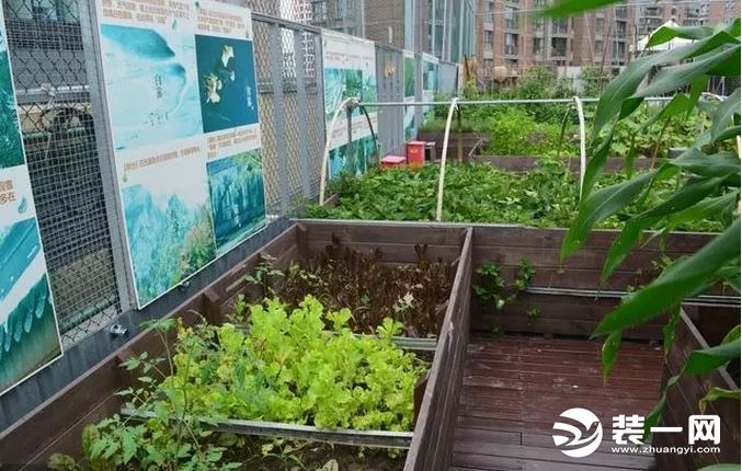 楼顶菜园图片楼顶菜园实景图片楼顶菜园设计实景图最新