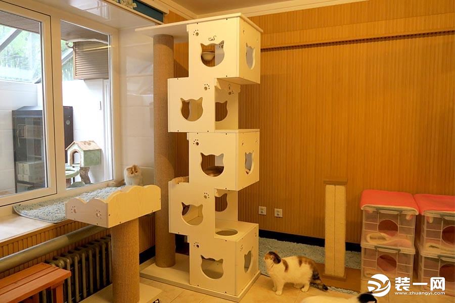 养猫场猫舍设计图图片
