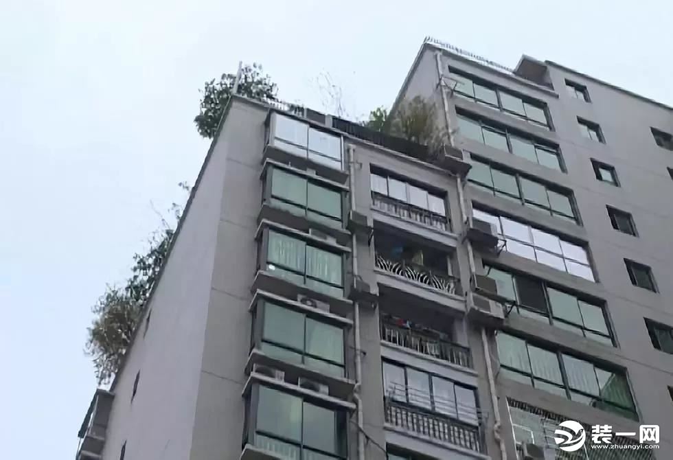 露天改造花园违建房屋处理 楼房图片