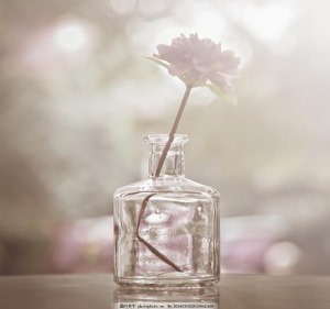 玻璃花瓶插花图片