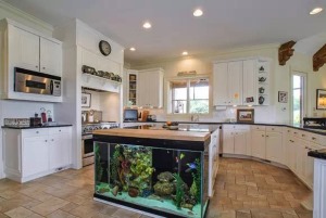 超大厨房鱼缸造景设计图