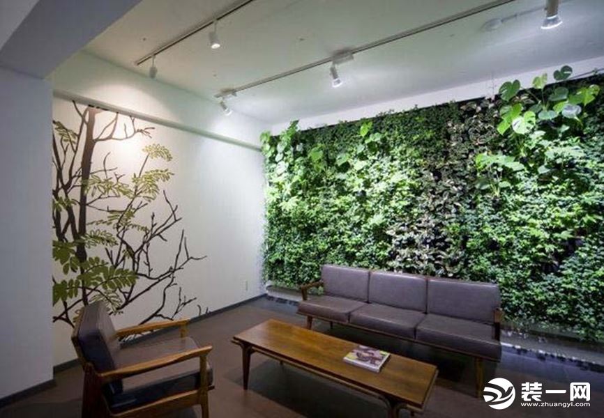 2019自制室内植物墙图片