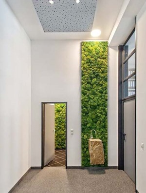 2019自制室內植物墻圖片