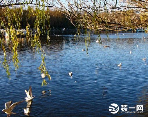 风水学分为哪两大派系