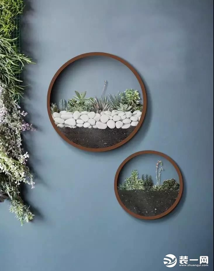 墙面装饰植物上墙设计图