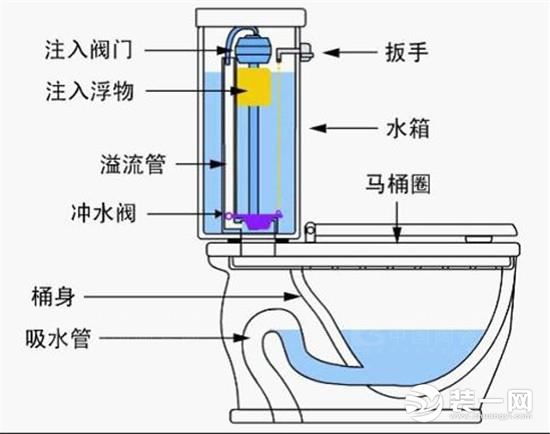 虹吸式马桶示意图