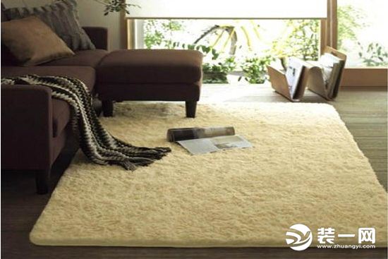 家用地毯效果图