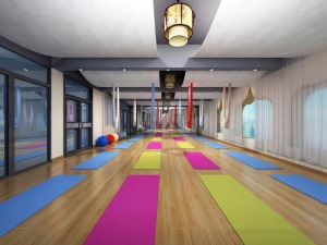 简约美观的瑜伽室装修效果图集锦之瑜伽训练室