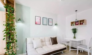 51平米一居室小户型装修设计实例效果图之沙发背景墙装修