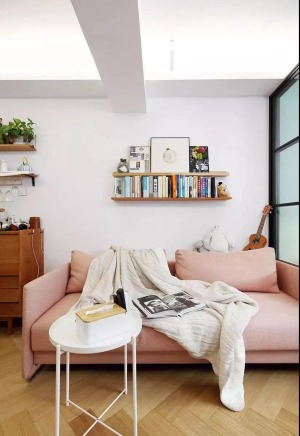 40平米长条形单身公寓设计之客厅沙发背景墙装修效果