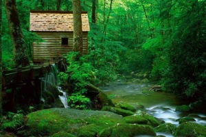 森林小木屋圖片
