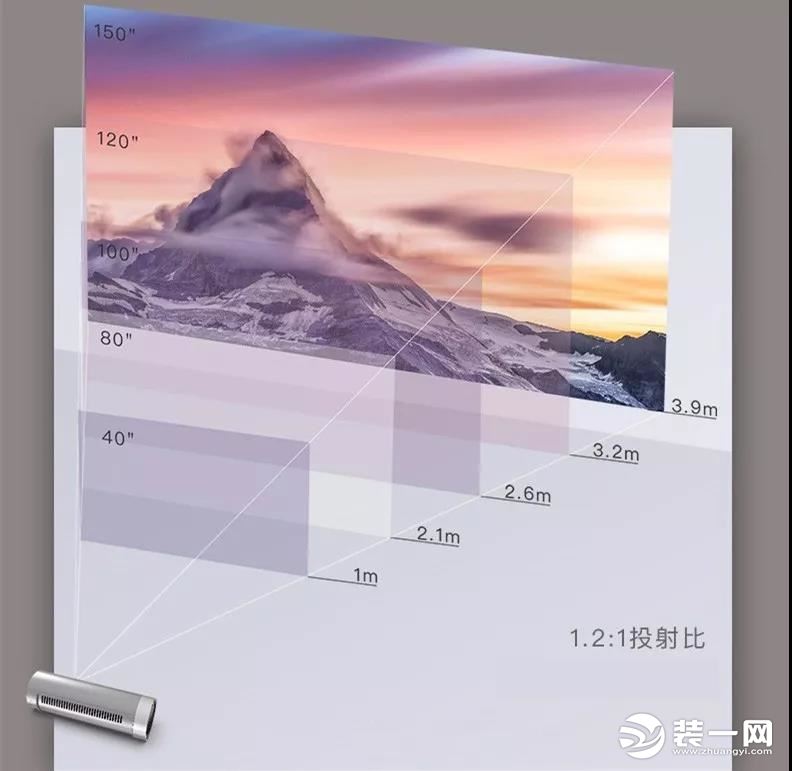 家用投影仪数据比例图