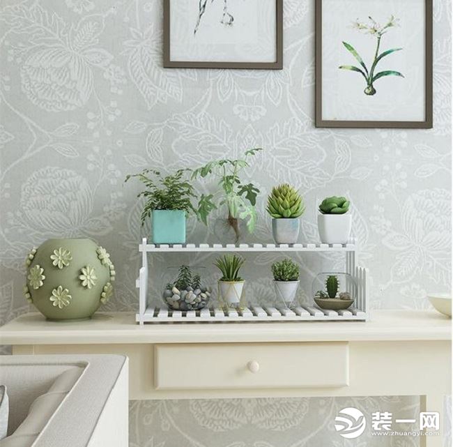 家庭绿植装饰图片