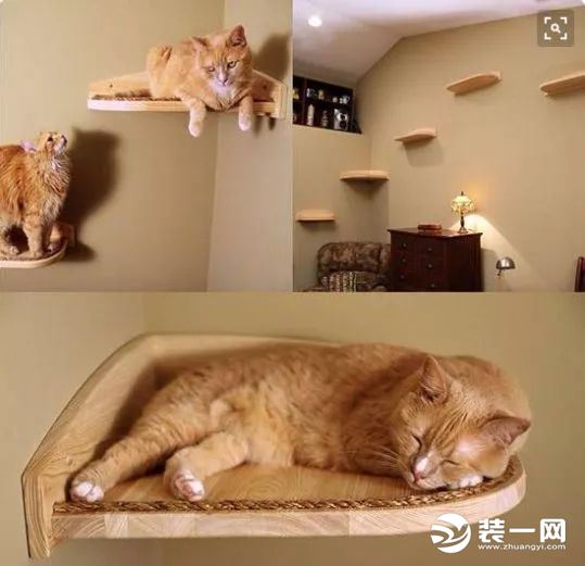 猫爬架示意图