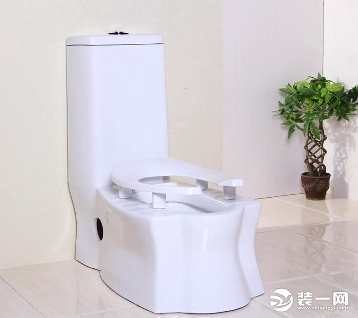 蹲坐两用式便器效果图