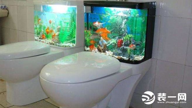 水族箱马桶效果图