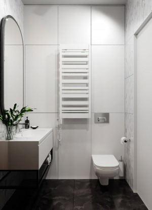 卫生间装修效果图 同色系卫生间装修 小户型装修设计 干湿分离卫生间设计