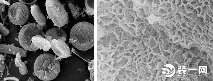 硅藻泥与活性炭对比图