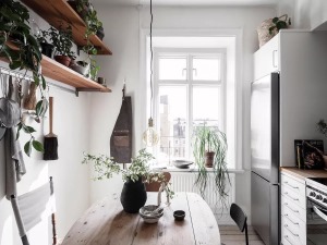 家里放什么绿植比较好 家居装饰绿植点缀 效果图